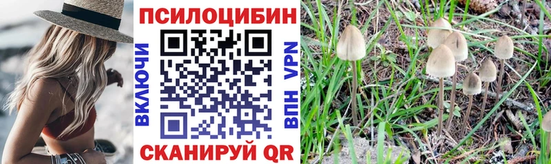 Галлюциногенные грибы мухоморы Кораблино